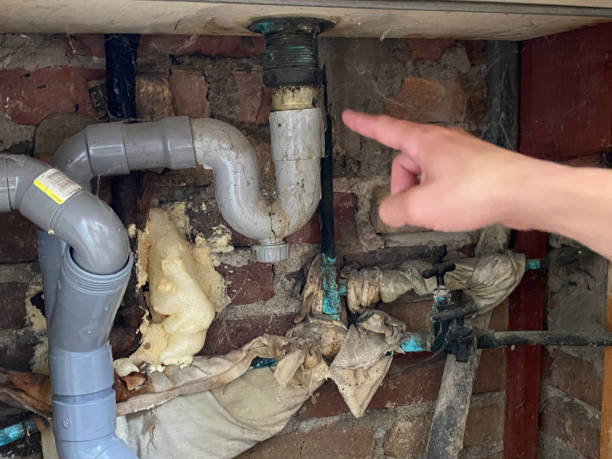 Best Flood restoration services  in Battle Mountain, NV